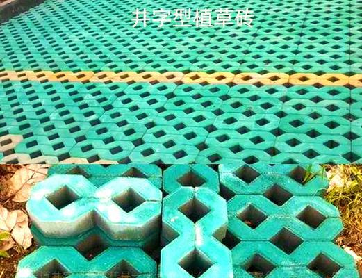 砖里草种植方法是什么？如何正确种植砖里草？