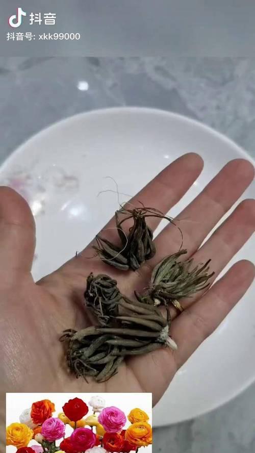 健康豆催芽发芽的正确方法是什么？需要多长时间？