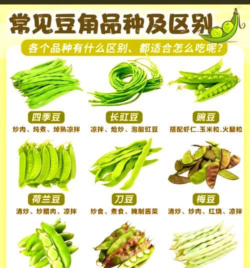芸豆角籽种植方法是什么？如何正确种植芸豆角籽？