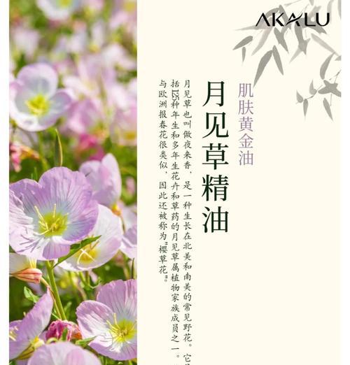 月见草种子催芽的最佳方法是什么？步骤和注意事项有哪些？