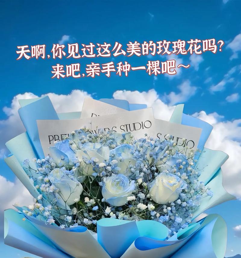 玫瑰粉丝花语是什么？如何正确解读玫瑰粉丝的含义？