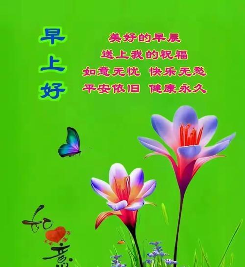 什么花的花语是蝶恋花？了解花语背后的浪漫故事？