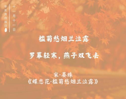 什么花的花语是蝶恋花？了解花语背后的浪漫故事？
