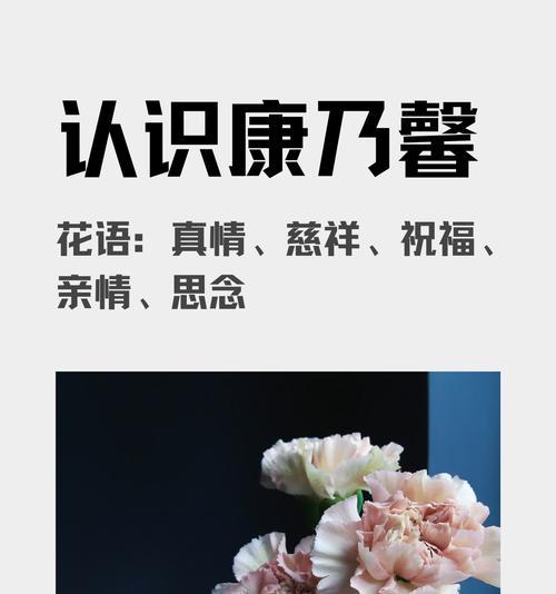 预祝成功花语是什么？如何选择合适的花卉表达祝福？
