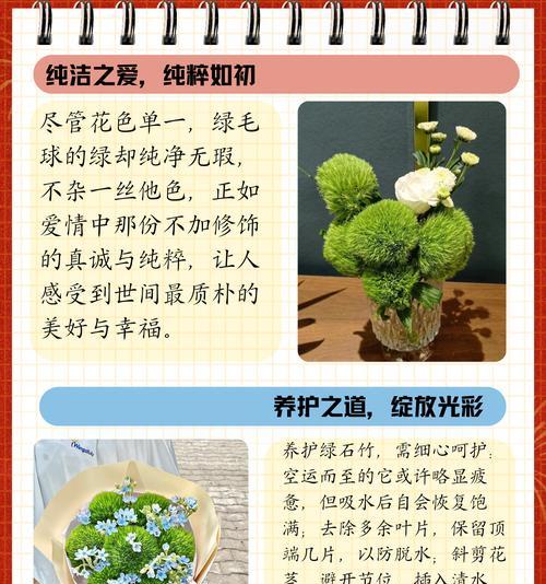 花语代表什么呀？100种常见花卉的含义解析？