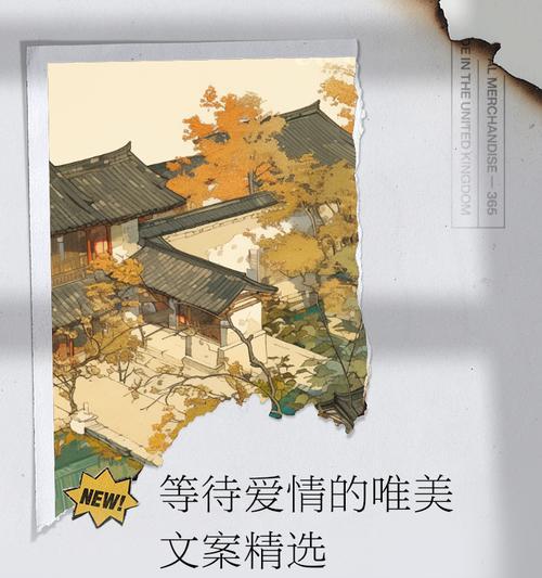 什么花语代表等待爱情？揭秘最能表达期待的花卉含义