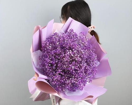 满天星紫色花语是什么？紫色满天星代表什么含义？