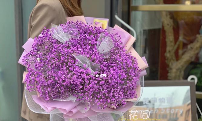 满天星紫色花语是什么？紫色满天星代表什么含义？