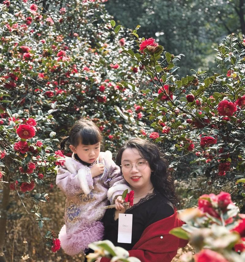 失去是什么的花语是什么意思？如何理解失去的花语含义？