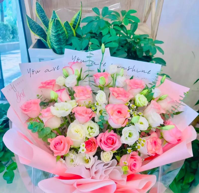 什么花代表原谅我？花语中表达歉意的花卉有哪些？