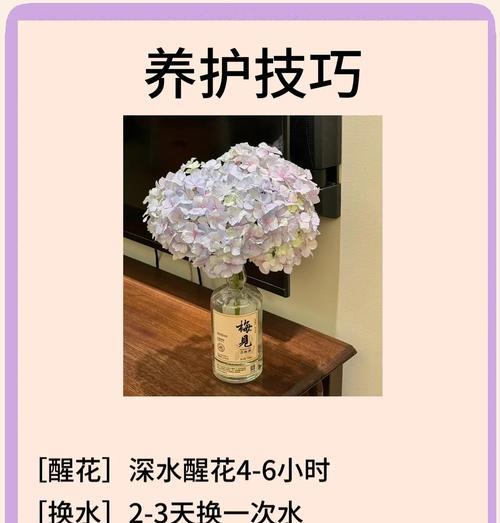 搬新家送绣球花代表什么寓意？绣球花的象征意义有哪些？