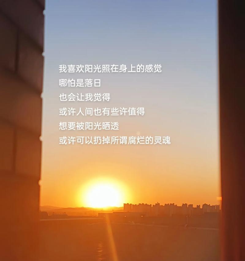 落日也有花语是什么？探索落日背后的浪漫含义？