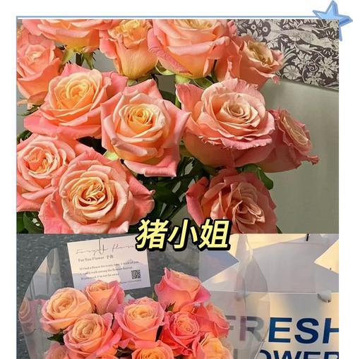 玫瑰小姐花语是什么？如何正确解读玫瑰花的含义？