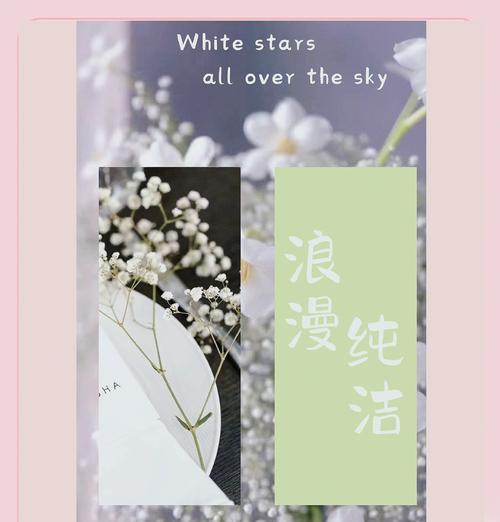 情侣陪伴花语是什么？如何选择表达爱意的花朵？