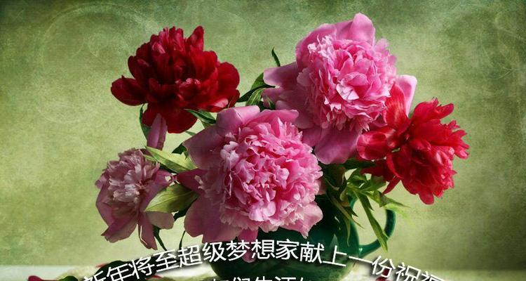 明天是什么花的花语？如何查询不同花卉的含义？