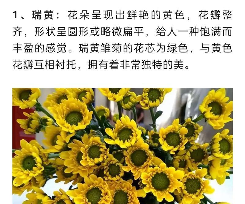 花配草的寓意是什么？如何正确搭配花卉与绿植？