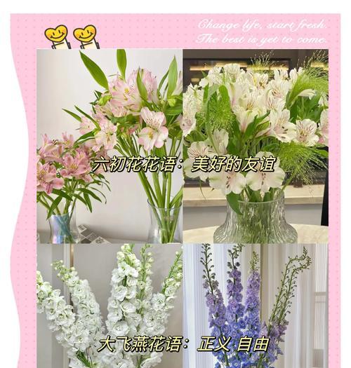 花配草的寓意是什么？如何正确搭配花卉与绿植？