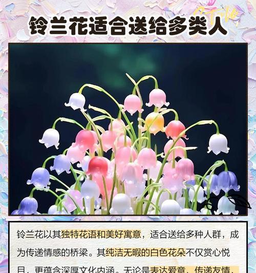 104朵花代表什么含义？花语背后的深层意义是什么？