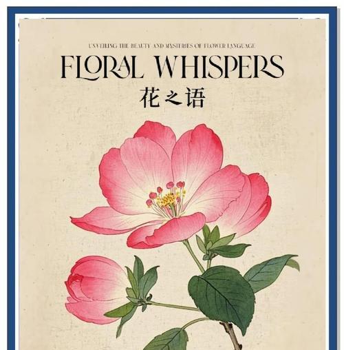 什么花代表什么花语？常见花卉的花语含义解析？