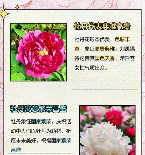 花的寓意和象征的意义是什么？如何理解不同花卉的深层含义？