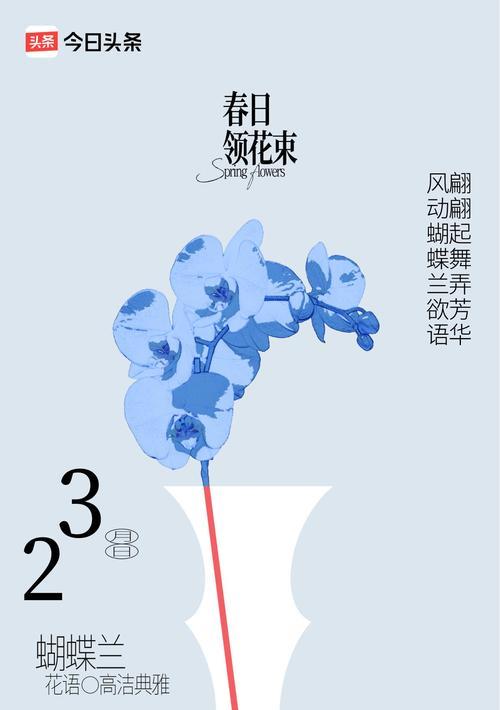 蝴蝶角花的寓意和象征是什么？如何正确理解其花语？