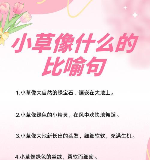 随意草的花语是什么？它在花语文化中代表了什么含义？