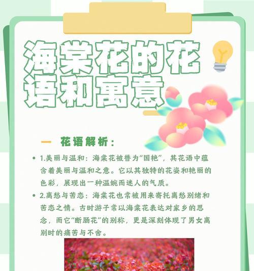 什么花代表思念？揭秘花语背后的含义？