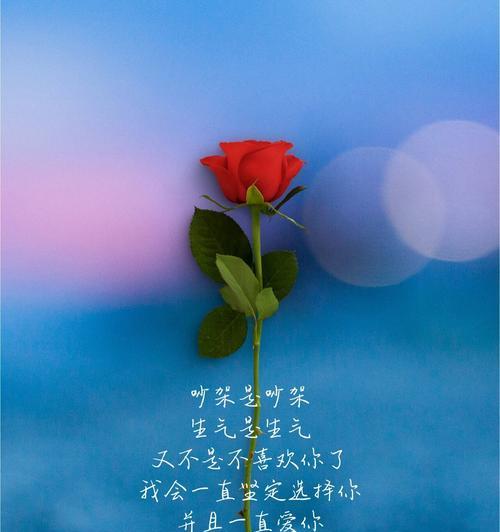 笑靥玫瑰的花语含义是什么？如何正确解读？