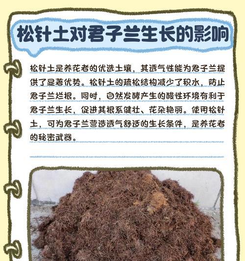 君子兰栽培最合适的土壤是什么？