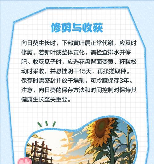迟黄都的最佳播种时间是什么时候？