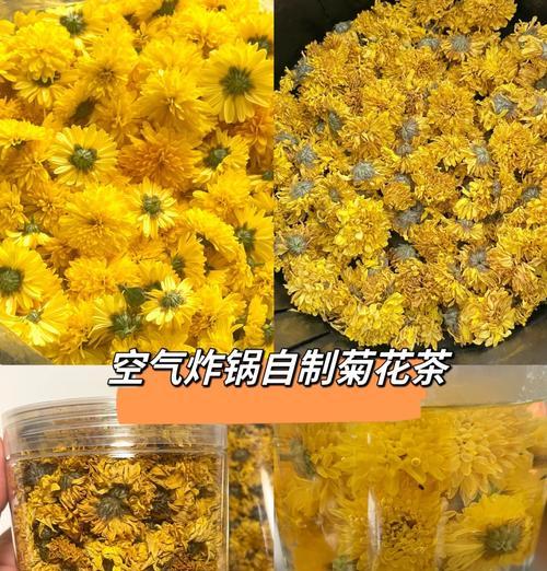 家庭如何自制菊花肥料配方？自制菊花肥料的步骤和技巧是什么？