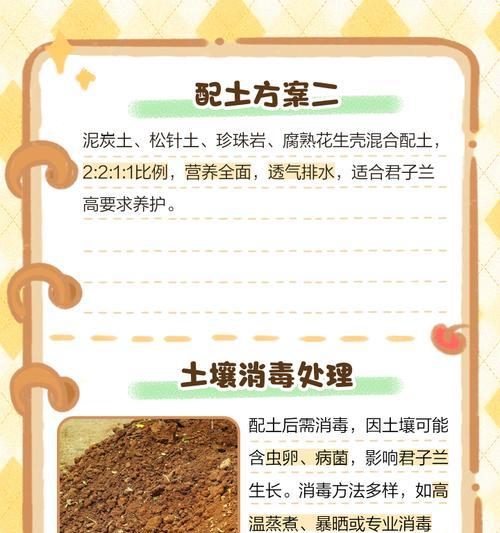 君子兰松针土和普通土的正确配比方法是什么？