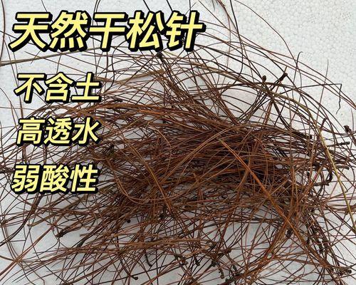 君子兰松针土和普通土的正确配比方法是什么？