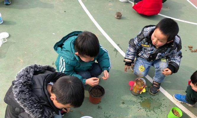 木耳菜苗浇水正确方法是什么？如何正确浇水？