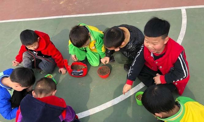 木耳菜苗浇水正确方法是什么？如何正确浇水？