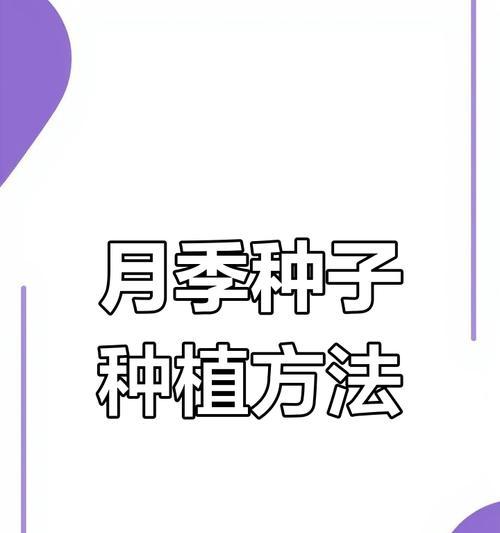 月季种子如何辨认？怎样正确挑选优质种子？