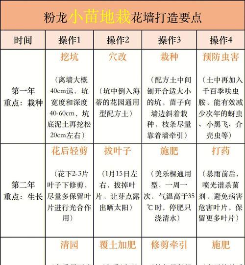 月季的最佳养护方法是什么？