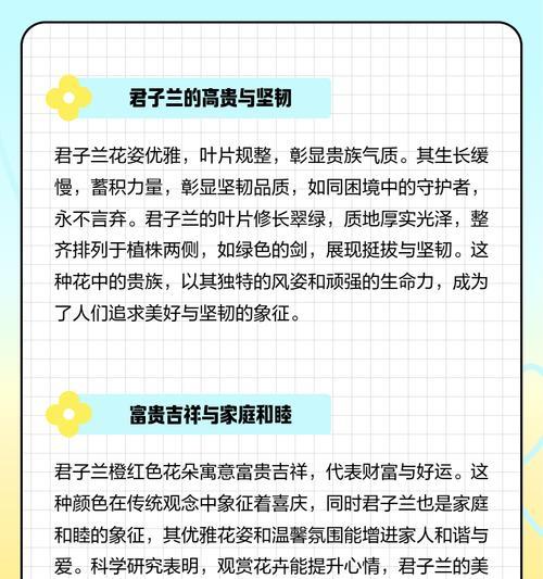 君子兰黄色花朵的象征意义是什么？