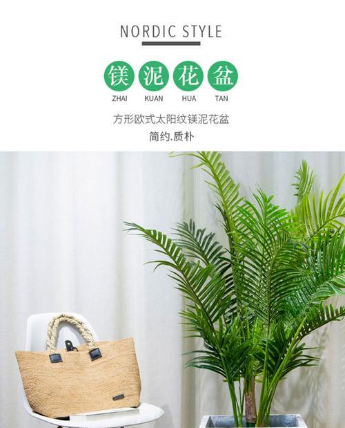 阳台方形花盆适合种植哪些花卉？