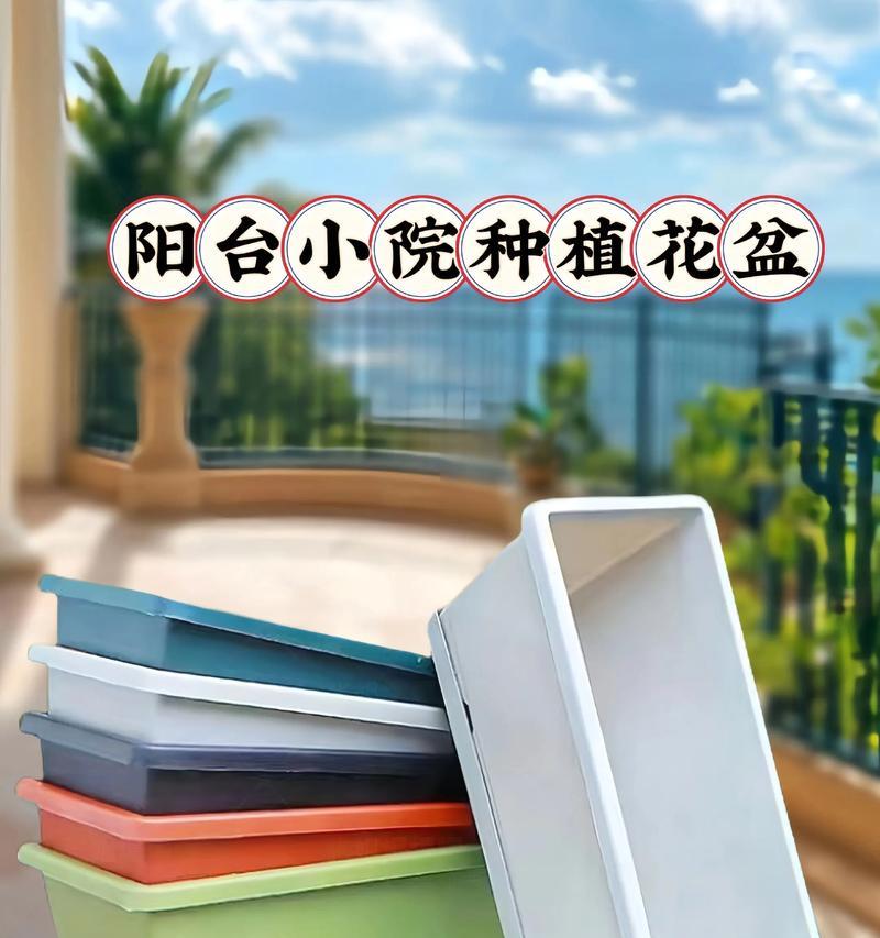 阳台方形花盆适合种植哪些花卉？