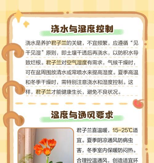 君子兰叶片发黄的原因有哪些？