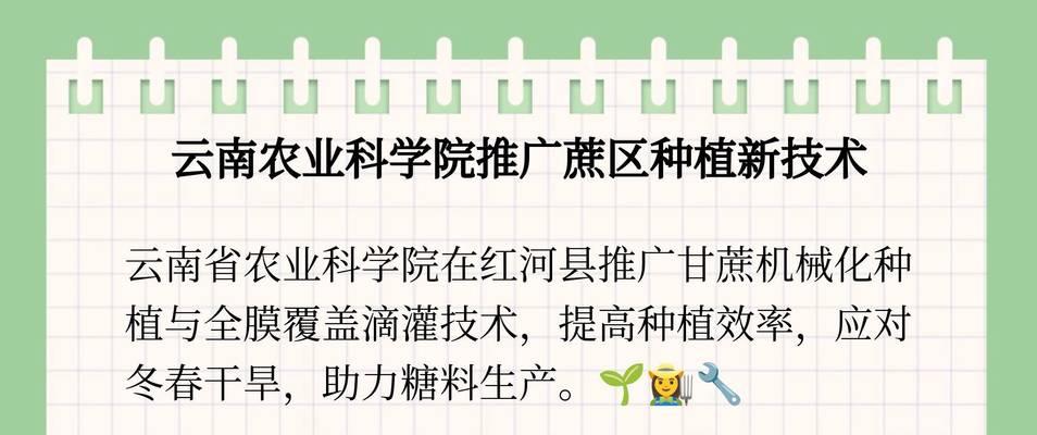 甘蔗滴灌浇水的最佳时机是什么时候？