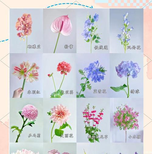 为什么有些花不宜放在阳台上？