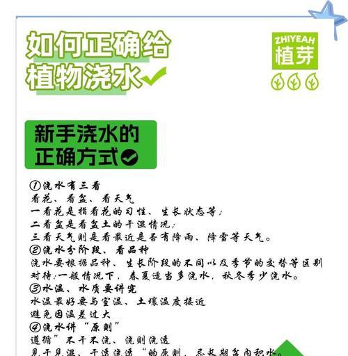 荔枝树浇水的正确方法及其重要性是什么？