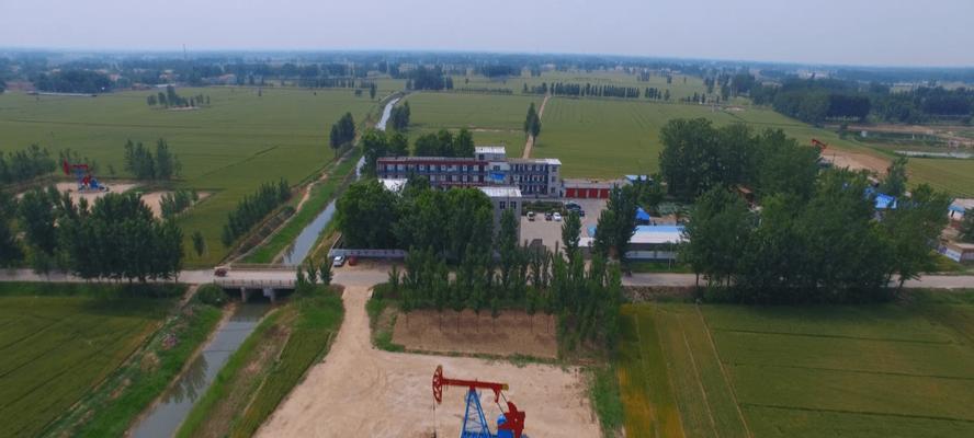 濮单12适合什么土地播种？播种前需要做哪些土壤准备？