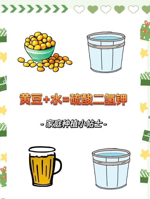 自制施肥有哪些小技巧？怎样才能更环保有效？