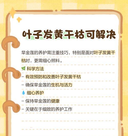 挽联叶子发黄了怎么办？如何处理和预防？