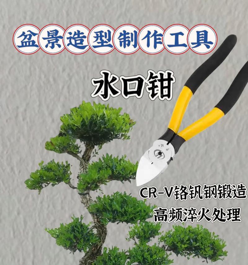 盆景铝丝拉线钳的正确使用方法是什么？如何操作？