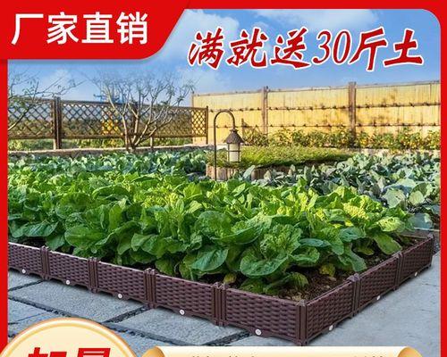 春涝期间最佳播种时间是什么时候？