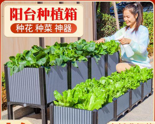 春涝期间最佳播种时间是什么时候？
